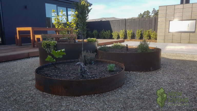 New_Living_Landscapes_Design_Services