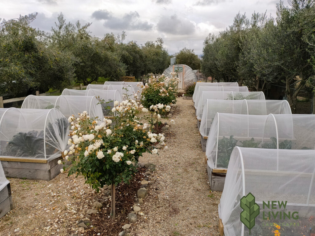 New_Living_Landscapes_Gardens-Greenhouse